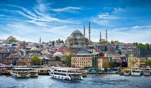 Turkish citizenship-by-investment program offers eligible individuals & their families the opportunity to obtain a Turkish passport.
